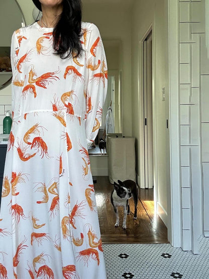 Printed Long Sleeve Maxi Dress